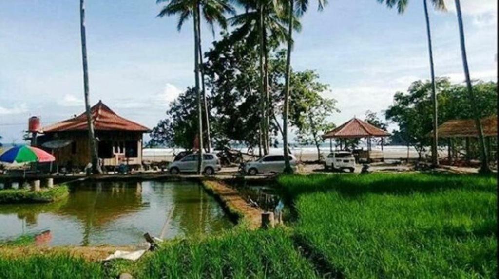 Revive Lampung Krui King Resort Buitenkant foto